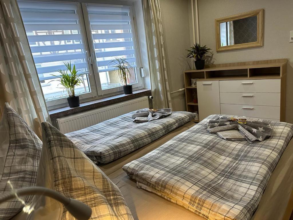 Christels Ferienwohnung 2 In Thale Mit Ueberdachter Terrasse, Kueche Mit Tv & Geschirrspueler Extérieur photo
